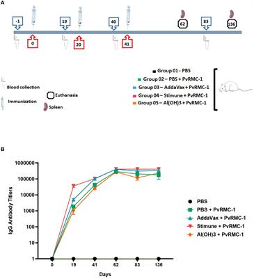 Immunogenicity of PvCyRPA, PvCelTOS and Pvs25 chimeric recombinant protein of Plasmodium vivax in murine model